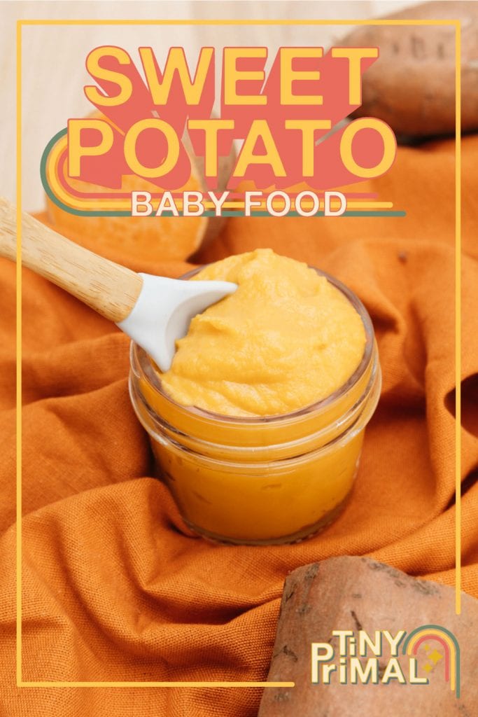 sweet potato baby food puree recipe